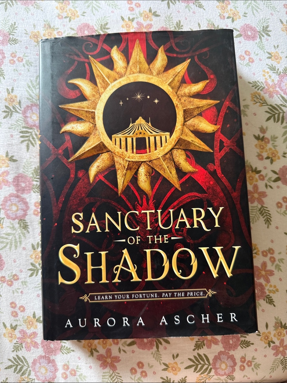 Sanctuary of the shadow book